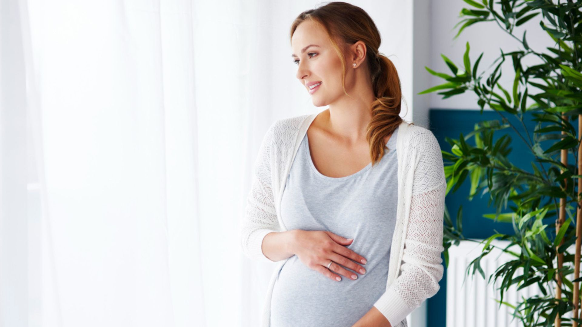 Pregnancy After Kidney Transplant